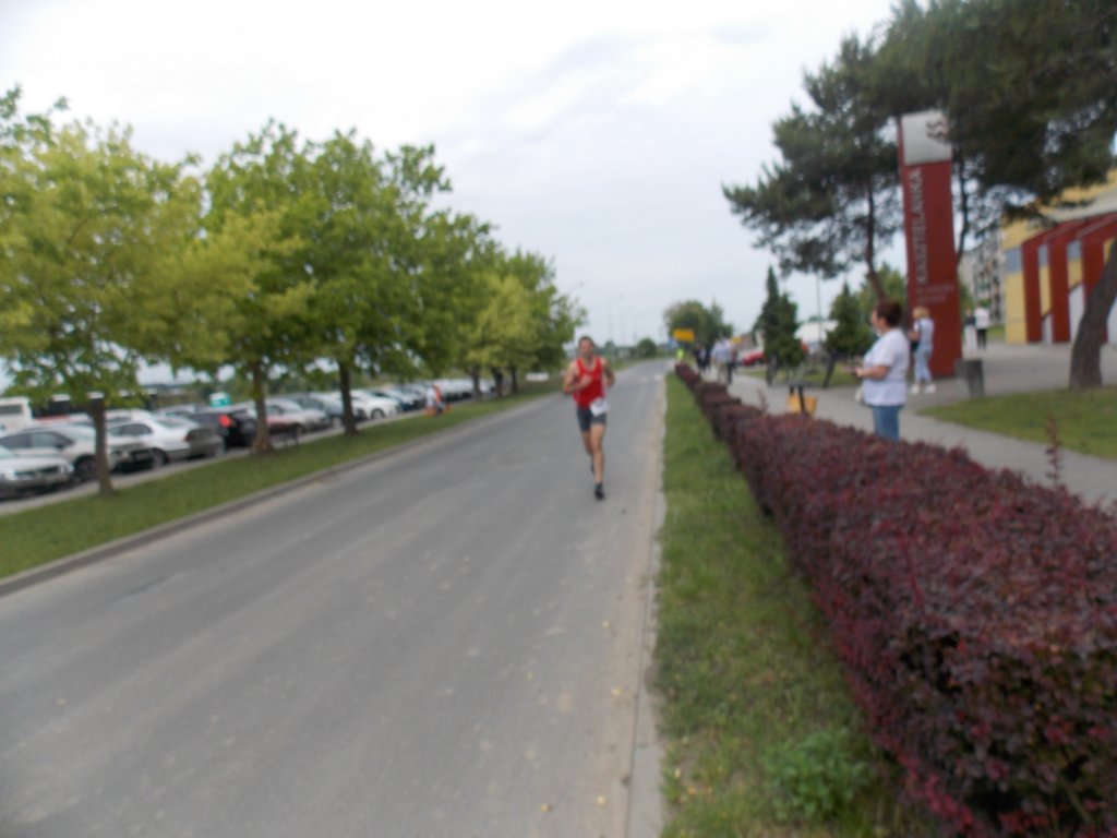 dscn1103.jpg