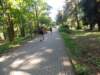 dscn3115_small.jpg