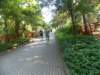 dscn3130_small.jpg