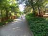 dscn3135_small.jpg
