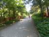dscn3138_small.jpg