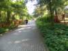 dscn3142_small.jpg