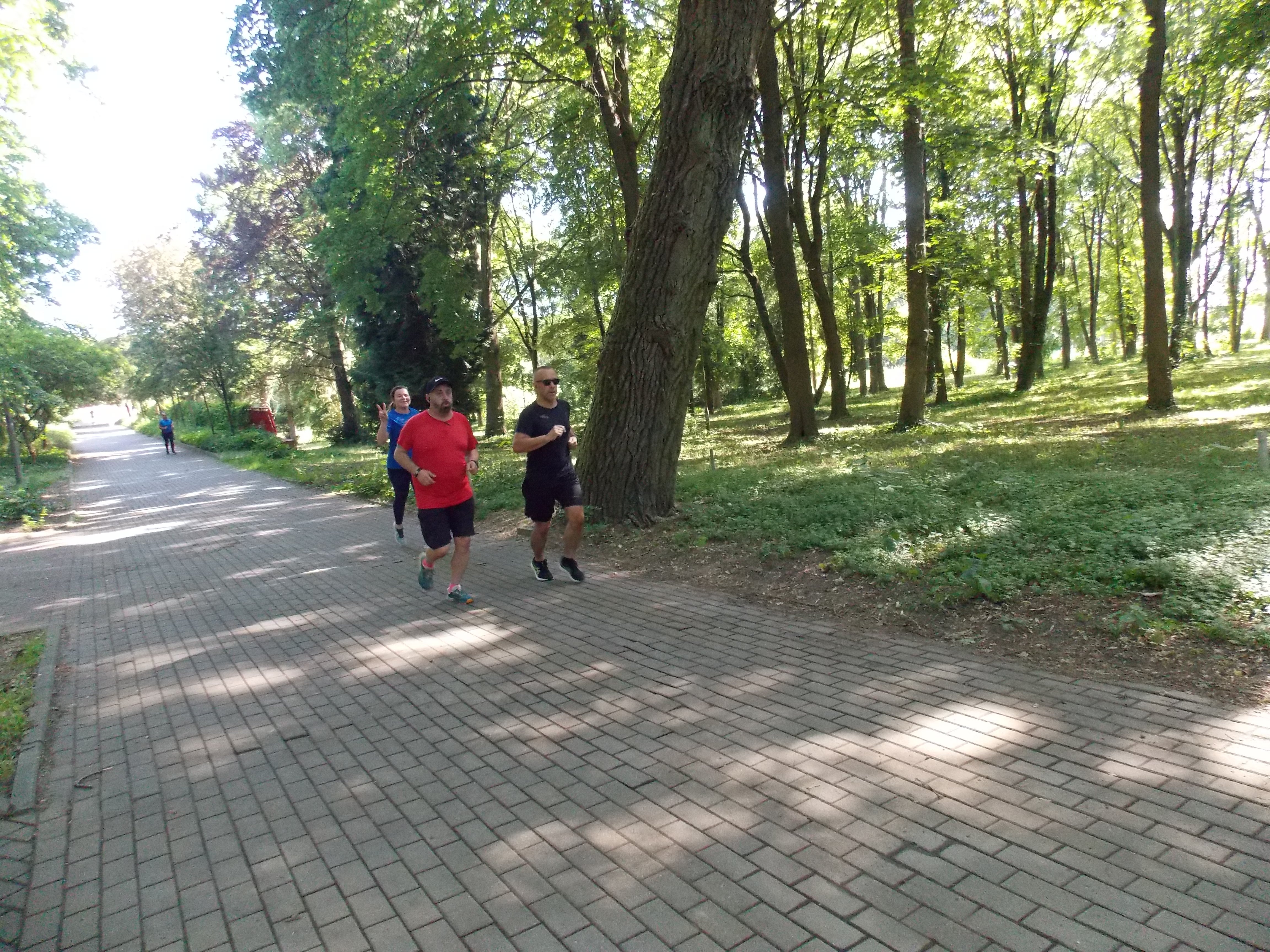 dscn3155.jpg