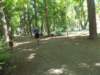 dscn3166_small.jpg