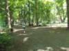 dscn3168_small.jpg