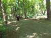 dscn3170_small.jpg