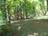 dscn3171_small.jpg