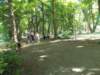 dscn3175_small.jpg