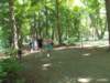 dscn3176_small.jpg