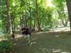 dscn3183_small.jpg