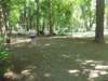 dscn3204_small.jpg
